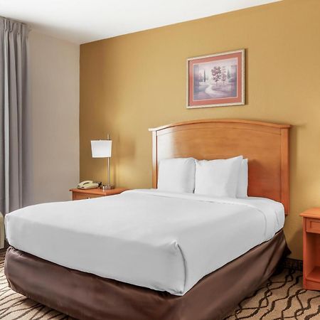 Comfort Inn & Suites Chesapeake - Portsmouth Extérieur photo