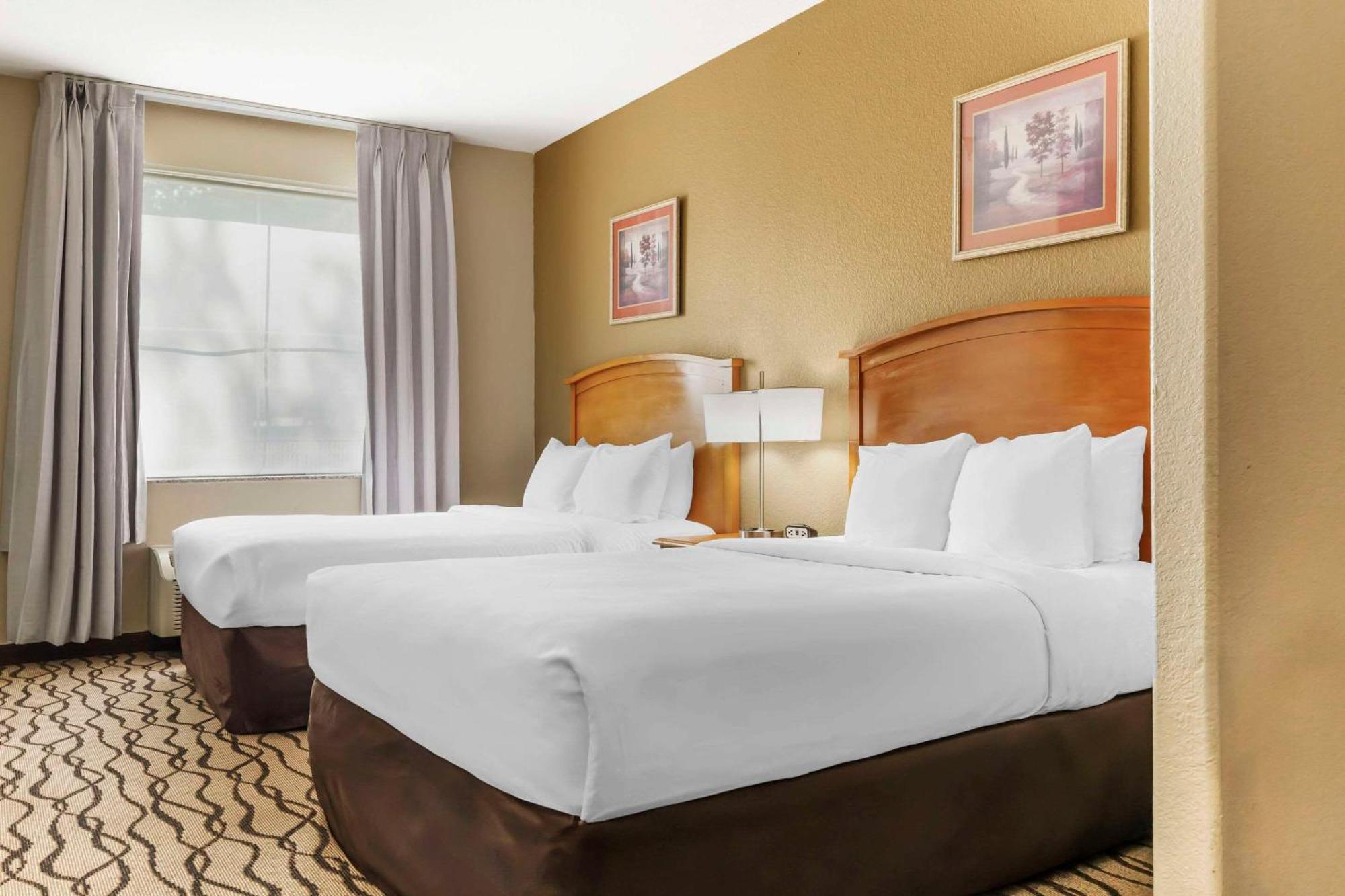 Comfort Inn & Suites Chesapeake - Portsmouth Extérieur photo